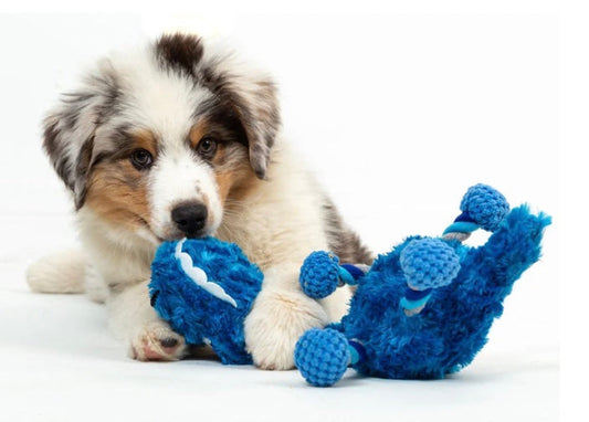 πΎ 7 Easy Ways to Entertain Your Dog Indoors