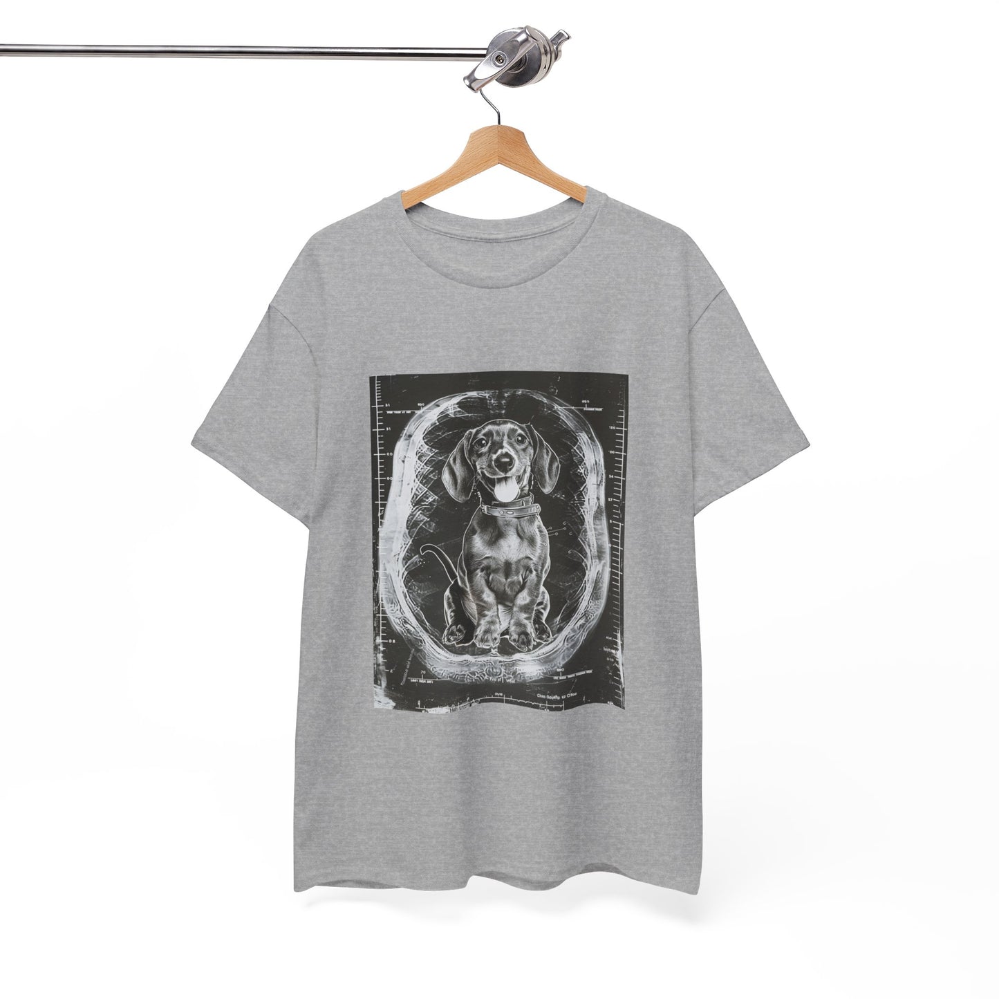 Dog X-Ray Design
