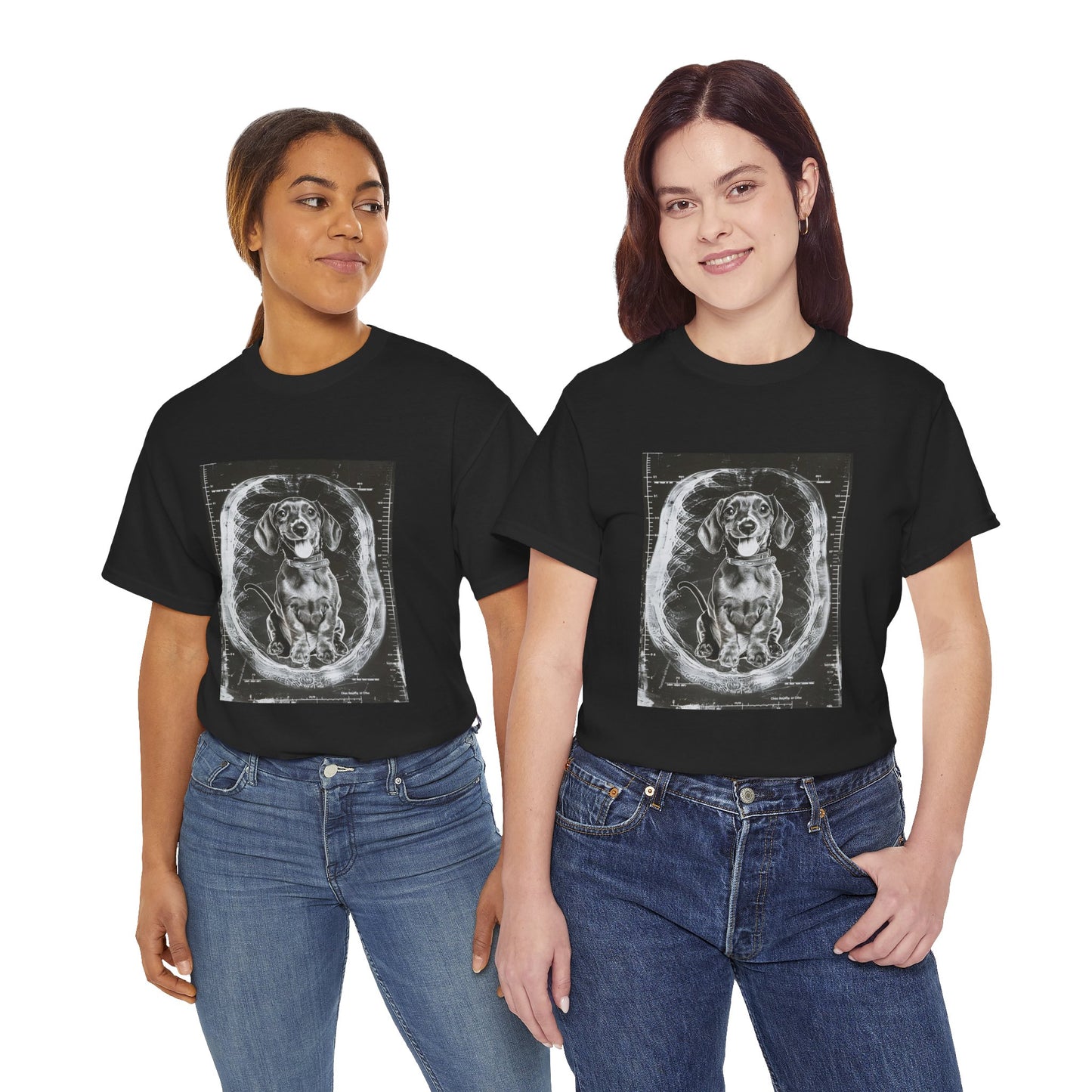 Dog Pregnancy