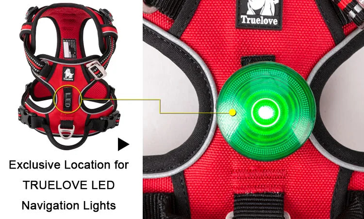360° reflective dog harness for night walks - see and be seen