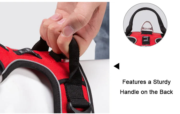 LED-compatible safety vest for early morning or late-evening walks