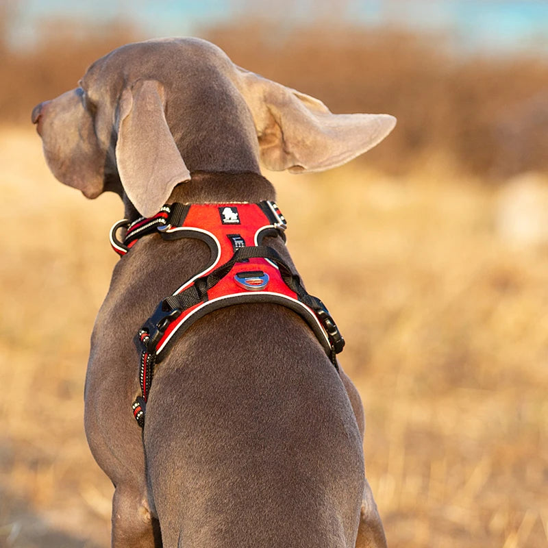 Dual-clip no-pull harness (front & back) with breathable mesh