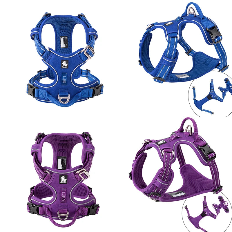 Keep your adventurous pup safe without sacrificing comfort