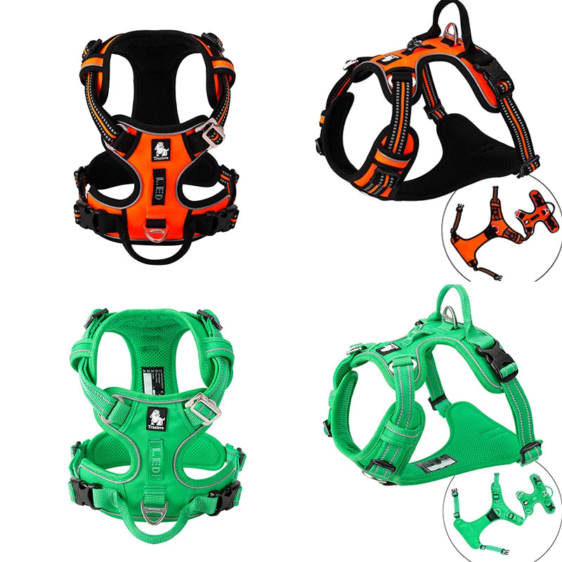 Glow-in-the-dark trim for urban dog walks
