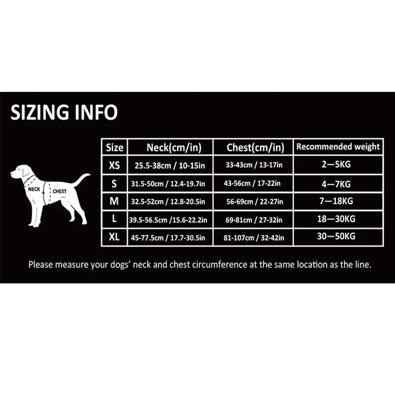 Sizing Info