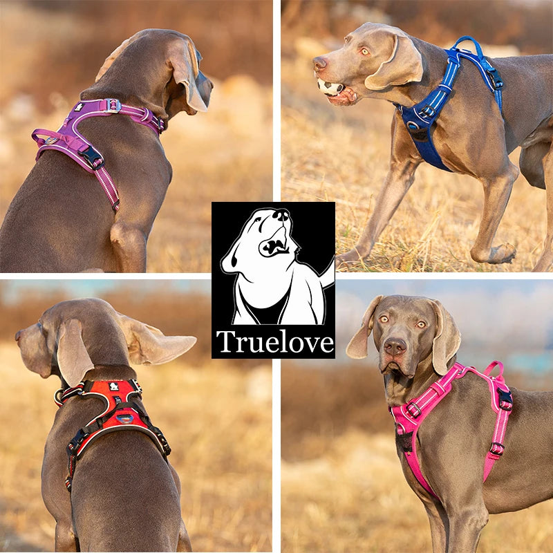 Walk stress-free with your reactive dog - gentle control design