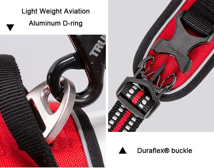 Sassy dog? This harness says 'nice try' to escape artists