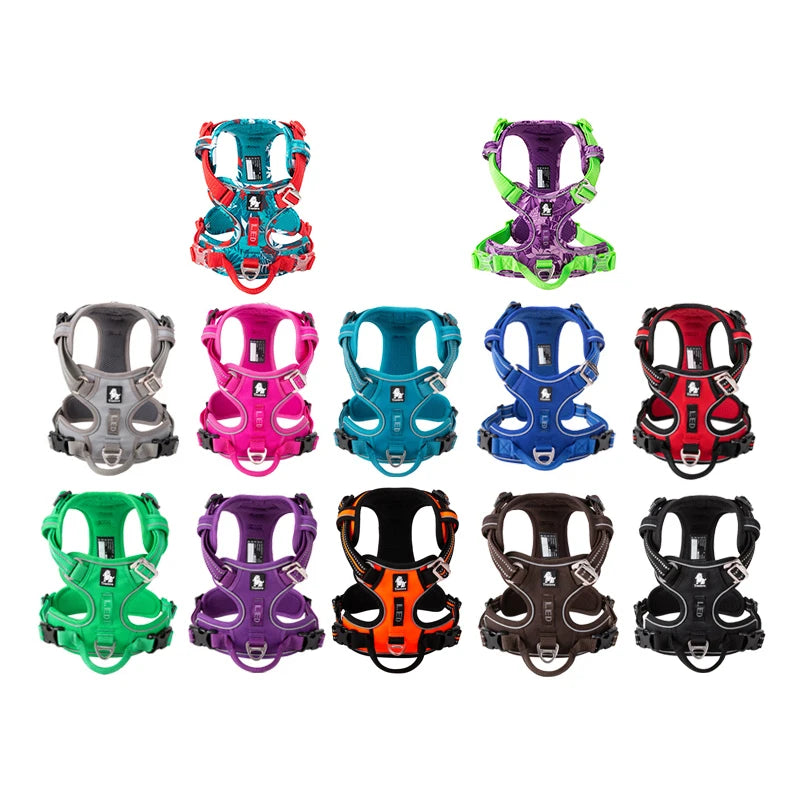 Adjustable safety harness for car rides and walks - padded chest plate