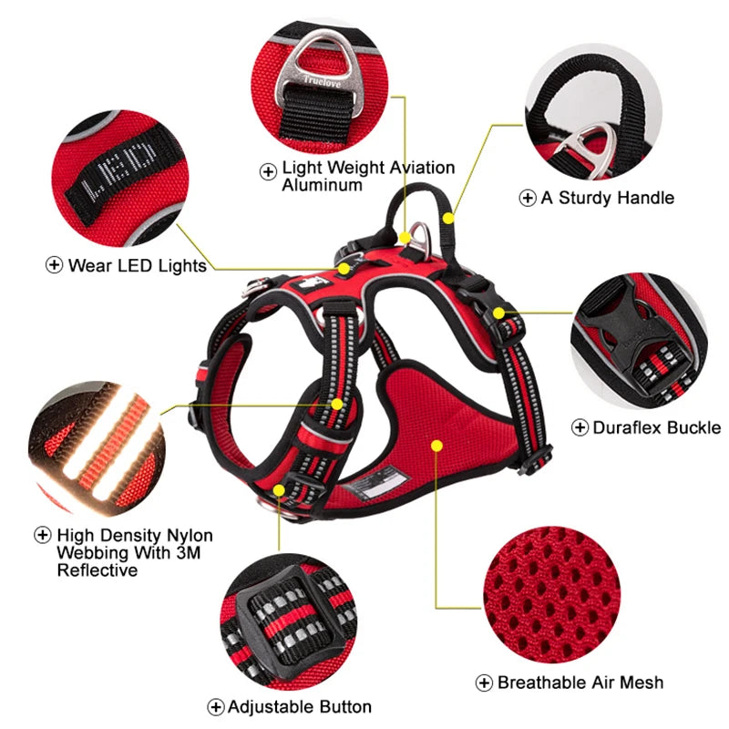 Harness for Houdini dogs who slip collars - reinforced straps