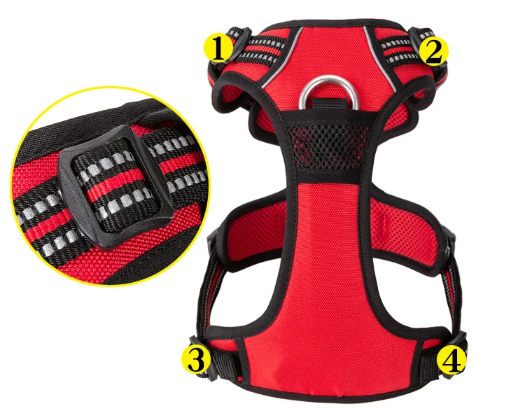 Harness with built-in seatbelt loop for car rides - crash-tested