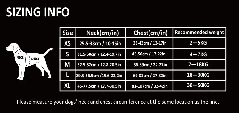 Sizing Info