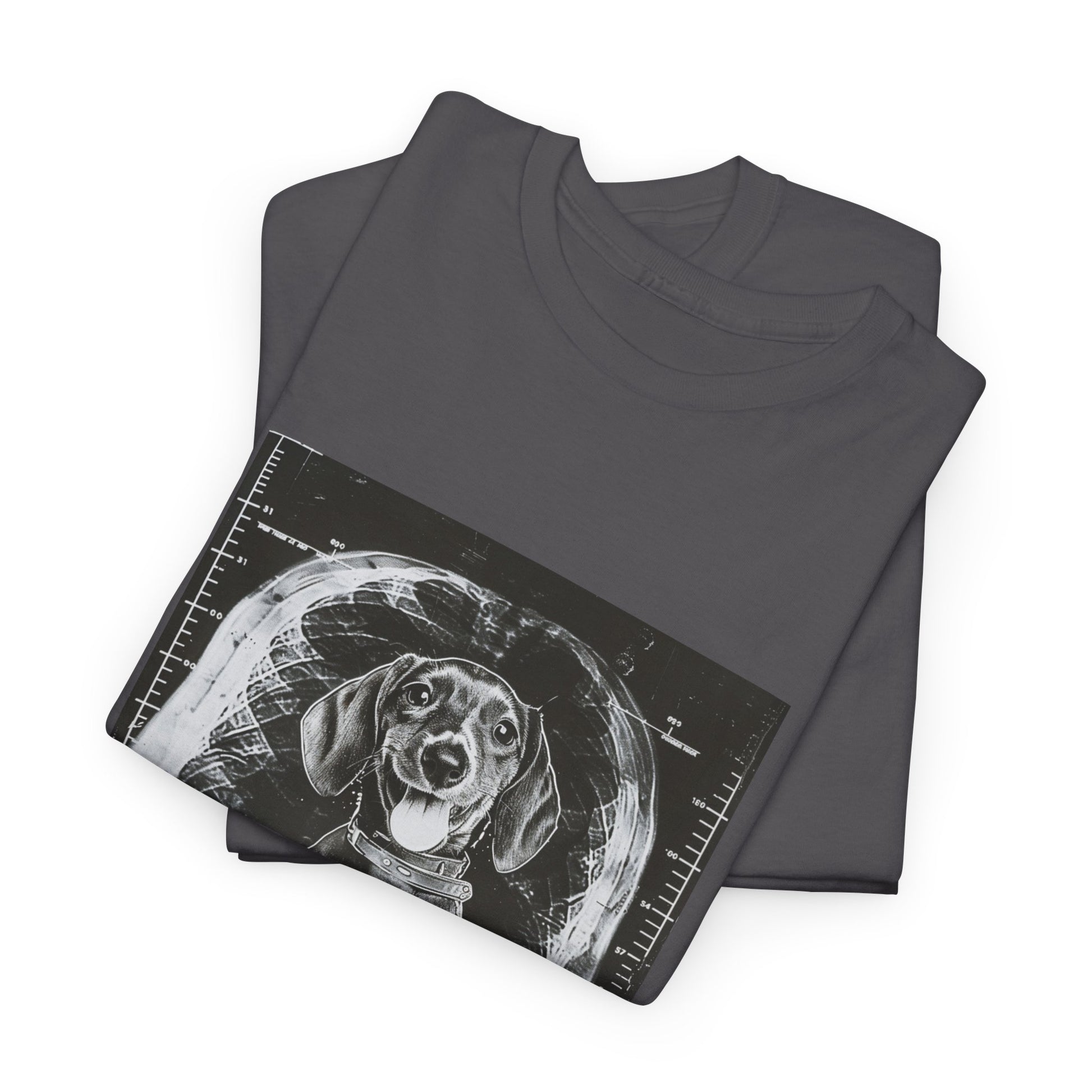 Dog Shirts