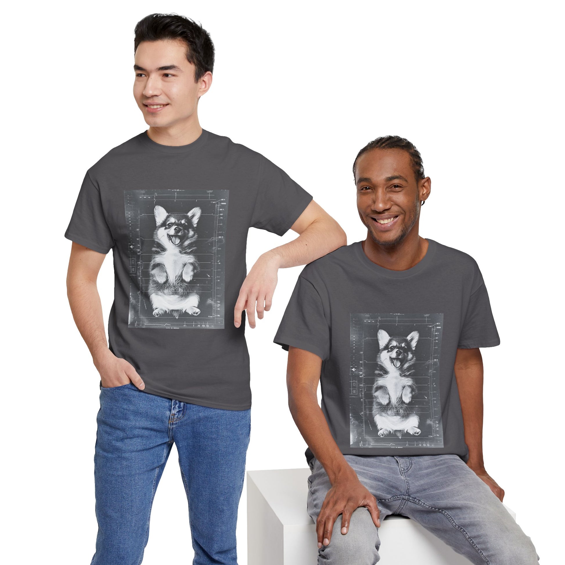 Corgi Dog Owners